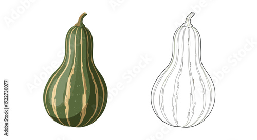 Decorative green and yellow striped gourd shown in a detailed colored version and a black and white line art outline.