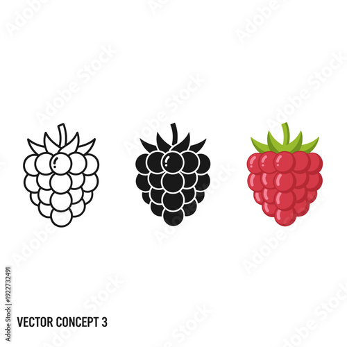 Vector concept of three raspberry icons in different styles Vector