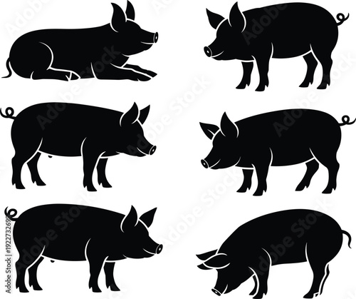 Pig silhouette collection featuring standing walking and resting farm animals isolated on white background for livestock farming agriculture and meat production concepts