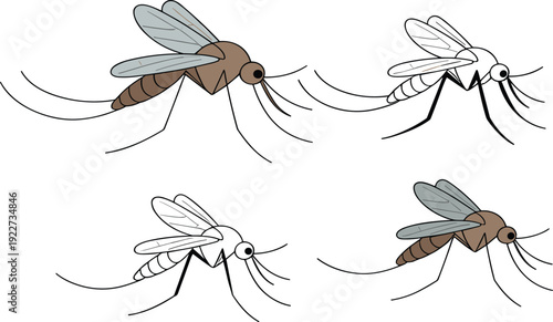 Set of mosquito illustrations showing flying insects with wings and long legs isolated on background for pest control, nature and vector design use