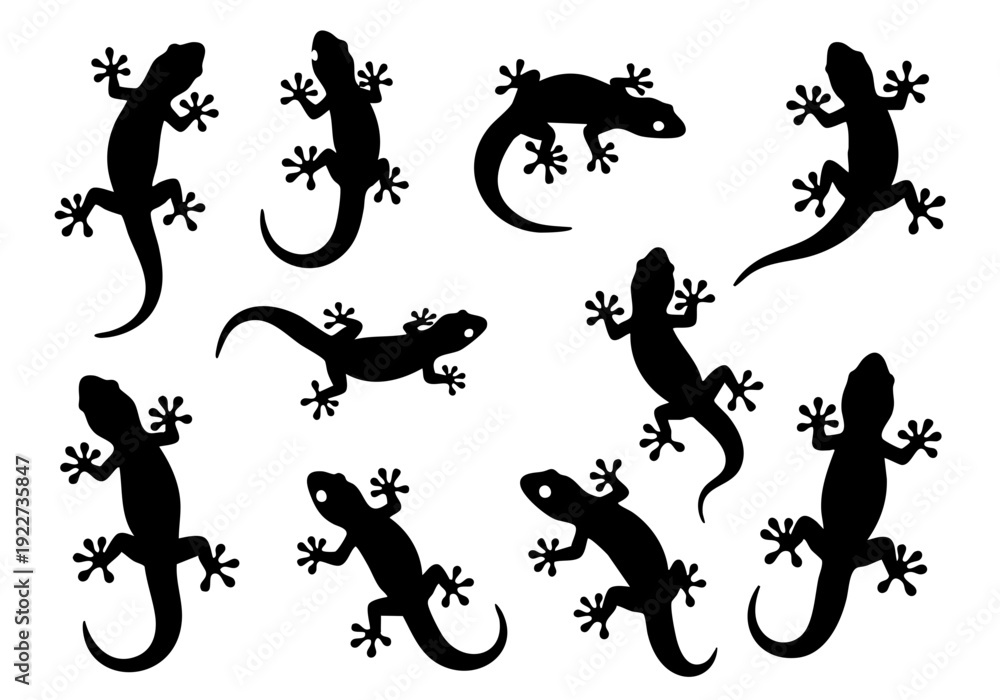 Obraz premium Silhouette Simple Gecko Lizard Reptile Animal Graphic Collection Set Design