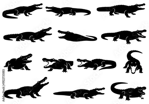 Silhouette Alligator Reptile in Various Poses Wildlife Reptilian Graphic Collection