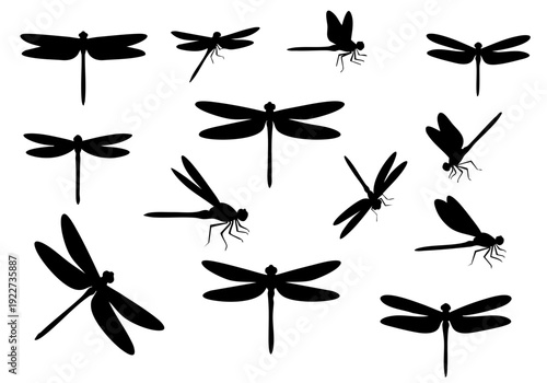 Silhouette Diverse Dragonfly Flying Insect Pests Bugs Illustration Set