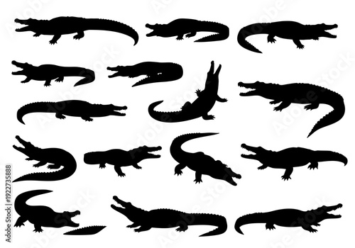 Silhouette Variety Alligator Reptile Wildlife Animal Shape Isolated Illustration