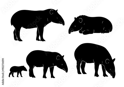 Minimalist Silhouette Tapir Wildlife Animal Standing and Lying Down Illustration