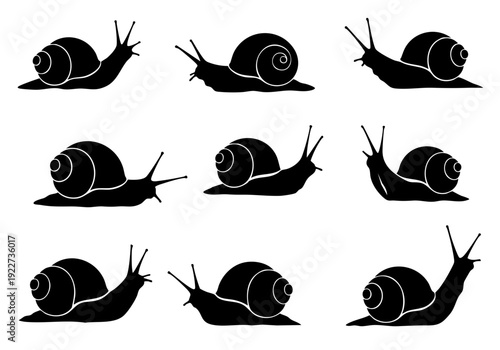 Minimalist Black and White Snail Silhouette Collection Wildlife Animal Illustration
