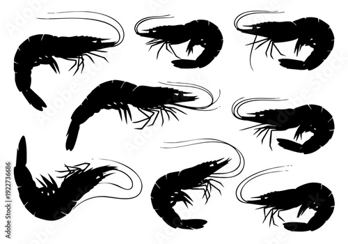 Silhouette Seafood Shrimp Various Poses Group Illustration Isolated on White Background