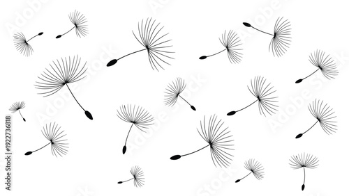 Creative background pattern of many black dandelion seeds flying through the air on a clean white background.