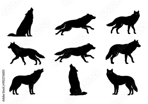 Silhouette Wildlife Wolf Pack Isolated Poses Mammal Animal Illustration