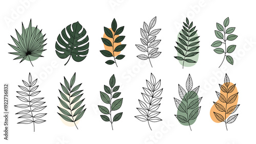 Diverse botanical set featuring tropical and deciduous leaves in detailed line art and color for natural design elements.