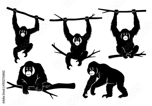 Silhouette Wild Orangutan Hanging and Sitting on Branch Illustration Set