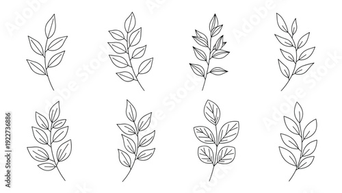 Minimalist collection of black and white leaf branch sketches, versatile botanical line art for various nature-themed designs.