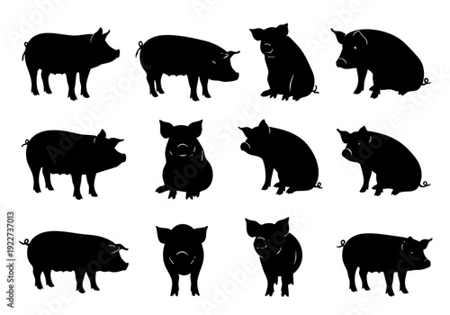 Minimalist Silhouette Various Poses Pig Farm Animal Icon Collection