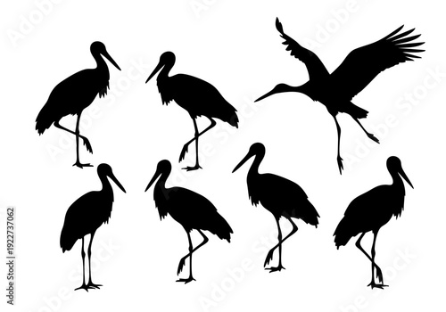 Silhouette Set of Stork Bird Flying and Standing Wildlife Illustration