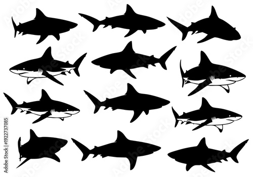 Silhouette Collection of Various Sharks Swimming Underwater Illustration Graphic Element