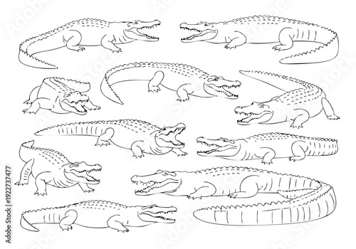 Detailed Outline Sketch Collection of Crocodiles and Alligators in Various Poses