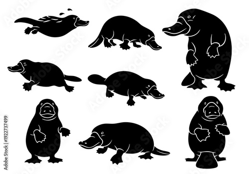 Black Silhouette Collection of Platypus in Different Poses Animal Illustration