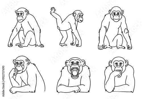 Simple Outline Line Drawing Monkey Sitting and Standing Animal Illustration