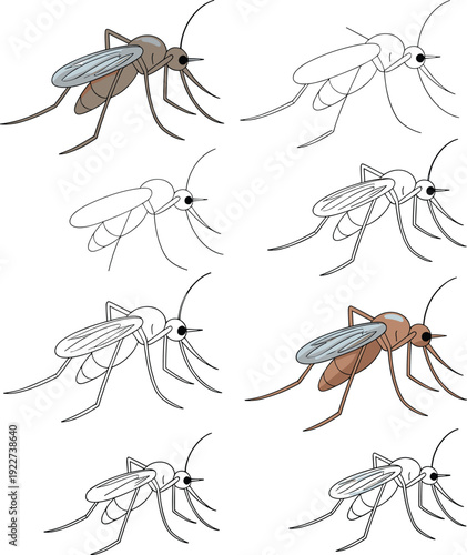 Collection of mosquito illustrations in different styles including outline and colored versions showing flying insects for pest control, medical and nature vector design