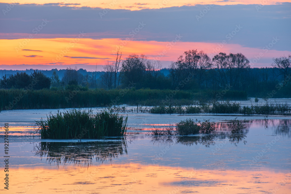 Naklejka premium sunset on the lake