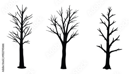 Dead tree branch silhouette vector, dry tree trunk black silhouette vector illustration