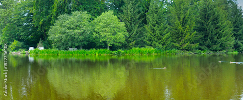 Tranquil Panoramic Lake Landscape with Lush Green Forest Reflection