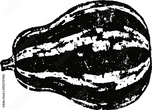 Black and white vintage illustration of a decorative striped gourd vegetable