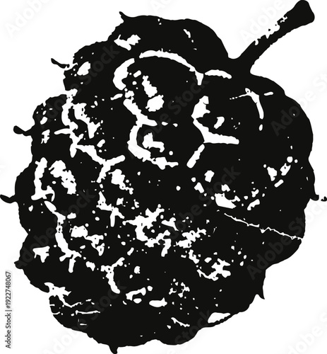 raspberry silhouette isolated on white background close up of garden berry with detailed texture and stem