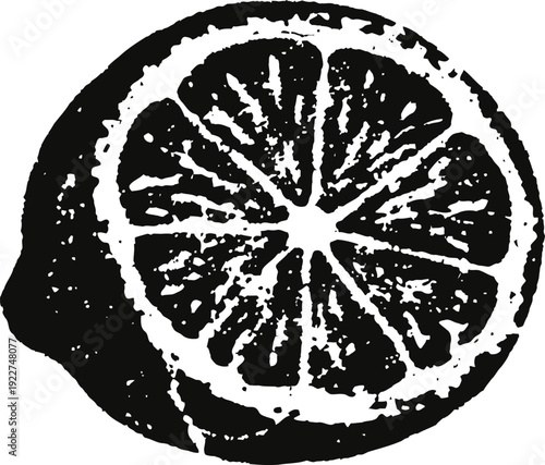 Black and white citrus fruit illustration half lemon with detailed segments vintage citrus engraving