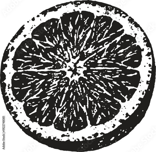 Black and white citrus fruit slice illustration detailed orange or lemon quarter cross section with textured rind and pulp