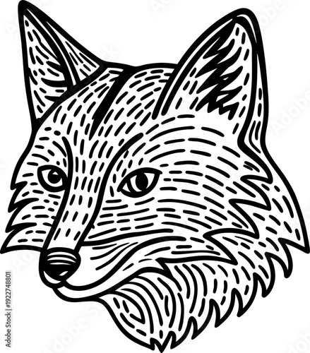 Fox head illustration wild animal face with detailed fur and alert eyes forest wildlife nature drawing design
