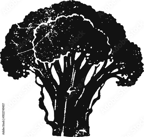 Black broccoli silhouette with detailed texture and large florets isolated on white background