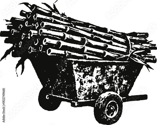 Wheelbarrow loaded with sugarcane stalks ready for transport agricultural farming tool and harvest concept