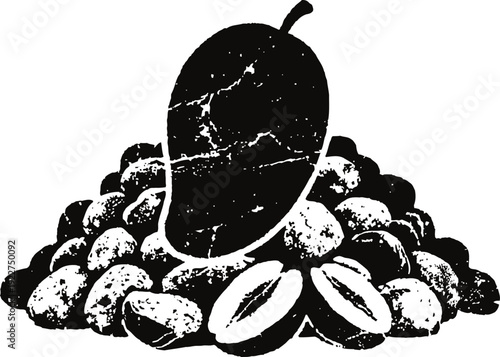 Coffee beans and single coffee cherry vintage black and white illustration of coffee seed and fruit