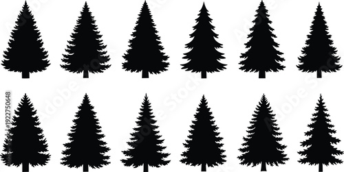 WebPine Tree Silhouette Collection Featuring Various Evergreen Spruce and Fir Trees for Winter Forest Landscape and Christmas Holiday Nature Designs,