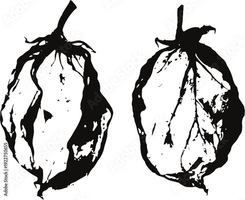 Black and white ink illustration of two dried leaves with detailed veins and stems