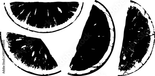 Black and white orange slices illustration citrus fruit segments isolated on white background