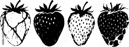 black and white strawberries set with different textures hand drawn botanical fruit illustrations