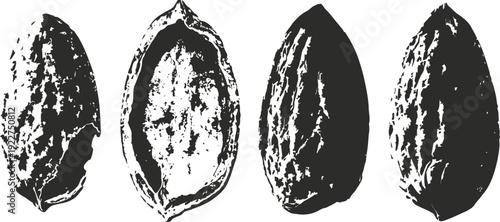 Illustrations of cacao pods and open cacao fruit with seeds in black and white silhouette