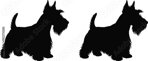 Scottish Terrier dog silhouette set isolated on white background, detailed black schnauzer style pet illustration for animal, breed, and canine design