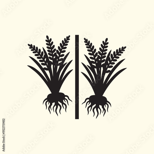 Rice Plant Growth Comparison Silhouette Vector - Agriculture Paddy Field and Grain Harvest Graphic