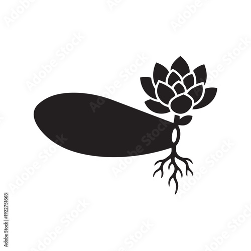 Succulent Leaf Propagation Silhouette Vector - Growing New Plant from Leaf Cutting and Rooting Graphic
