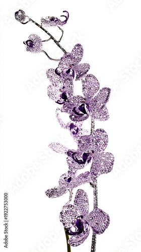 Exquisite crystal orchid flowers