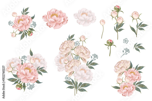 Hand drawn vector peony flowers set 