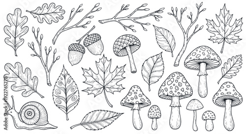 A detailed handdrawn collection of autumnal nature elements including oak leaves, maple leaves, acorns, mushrooms, and tree branches, perfect for seasonal greetings or educational projects