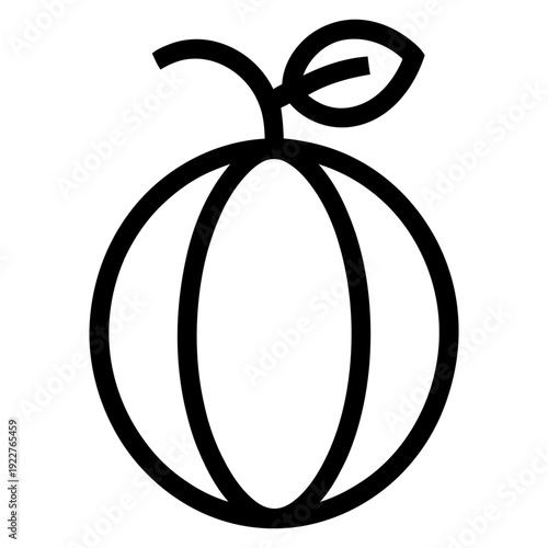 Minimal outline Cantaloupe Icon Silhouette Vector on Clean White Background