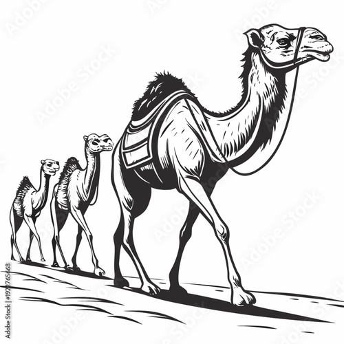 A caravan of camels walking across a desert