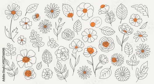 A diverse collection of minimalist handdrawn floral and leaf motifs with vibrant orange accents, ideal for contemporary graphic projects and personalized stationery items