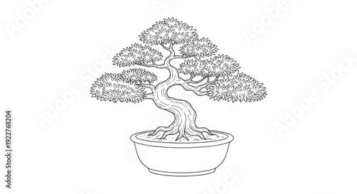 Bonsai Tree Illustration in Pot 1.