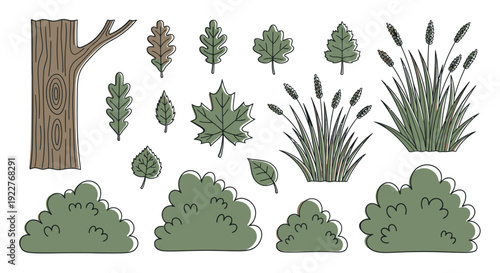 Diverse collection of natural green foliage elements including various leaves tree trunk bushes and grass for creating environmental scenes and educational materials